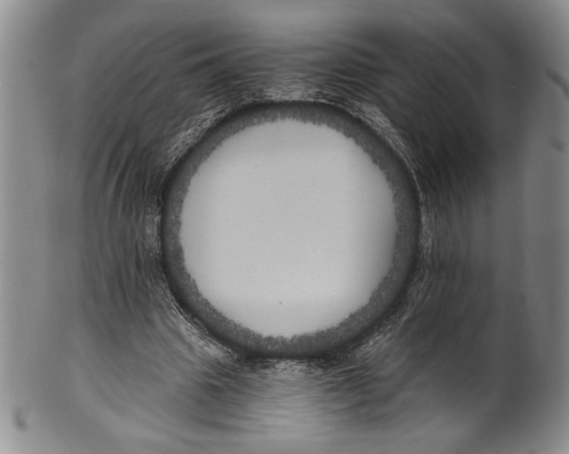 X0000100760441200807171345