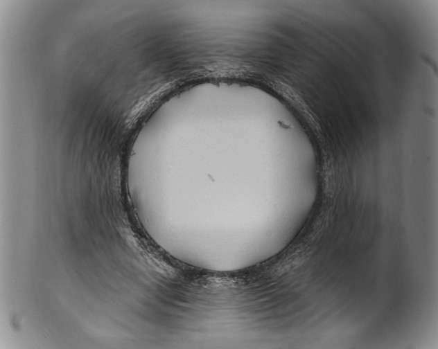 X0000100760442200807171345