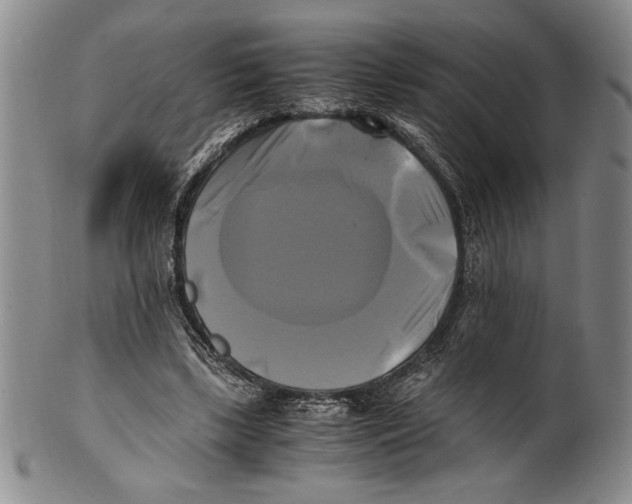 X0000100760443200807171345