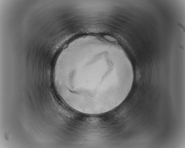 X0000100760444200807171345