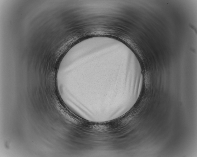 X0000100760445200807171345