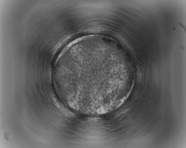 X0000100760446200807171345