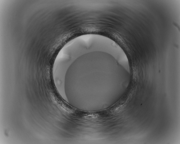 X0000100760447200807171345