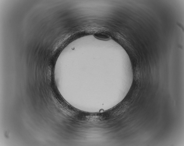 X0000100760448200807171345