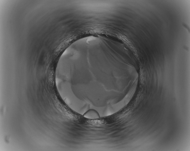X0000100760449200807171345