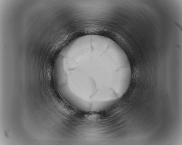 X0000100760452200807171346