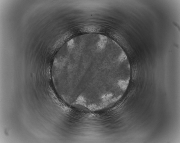 X0000100760453200807171346