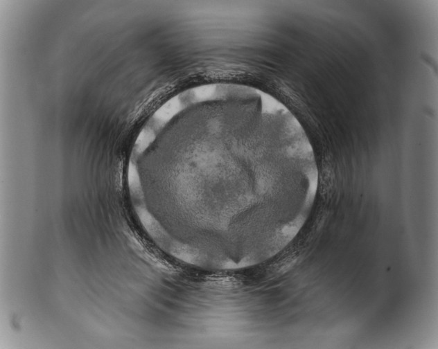 X0000100760454200807171346