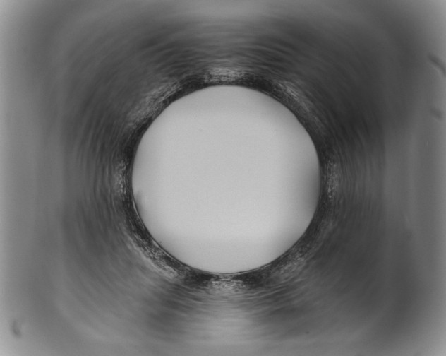 X0000100760455200807171346
