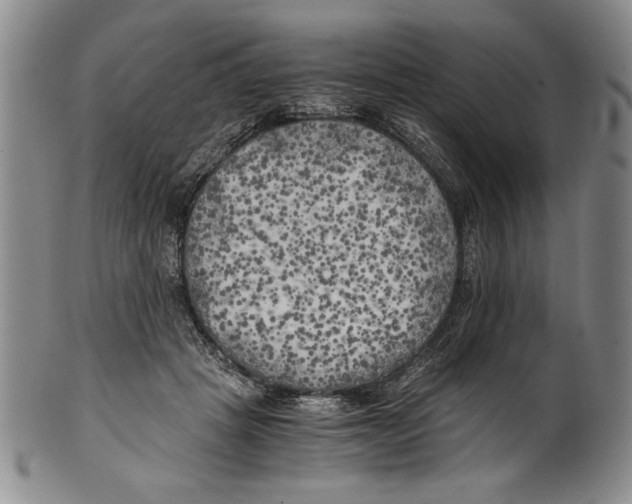 X0000100760457200807171346