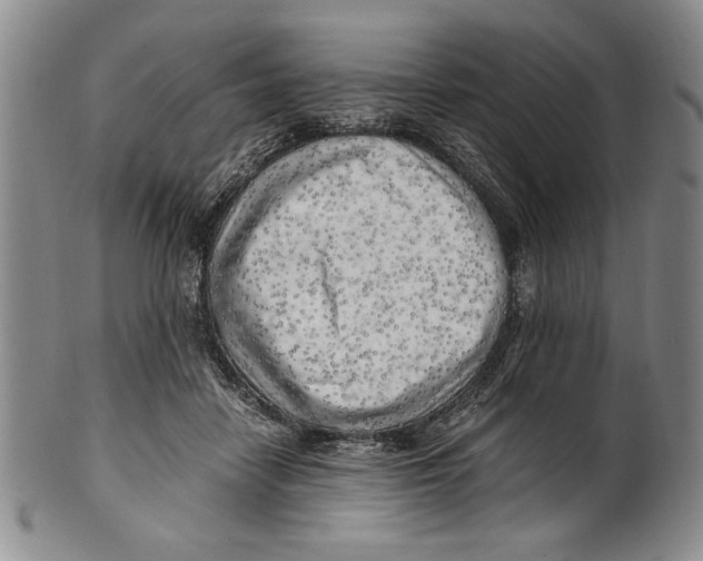 X0000100760458200807171346