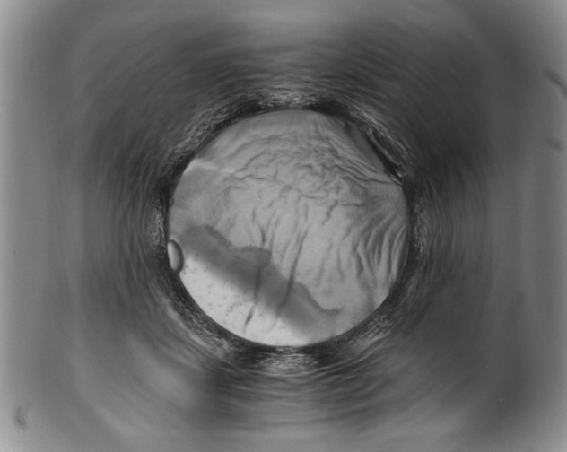 X0000100760459200807171346