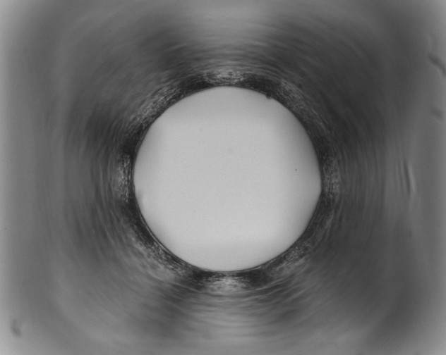 X0000100760460200807171346