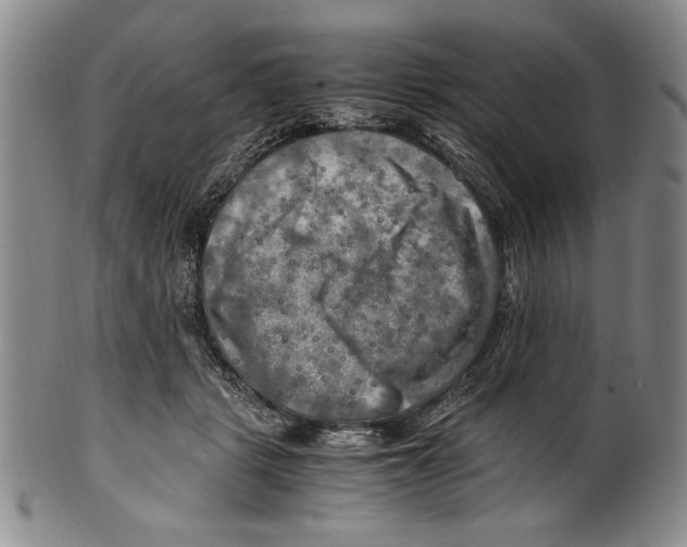 X0000100760461200807171346
