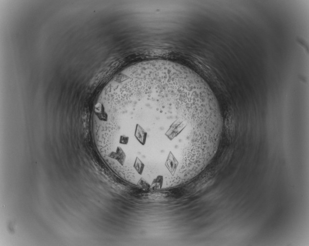 X0000100760462200807171346