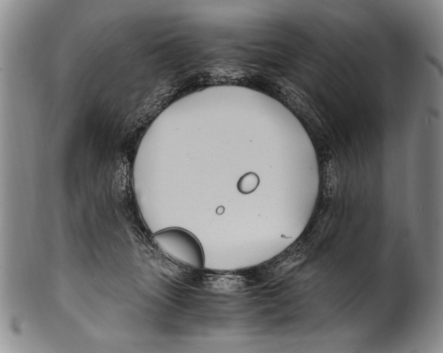 X0000100760463200807171346