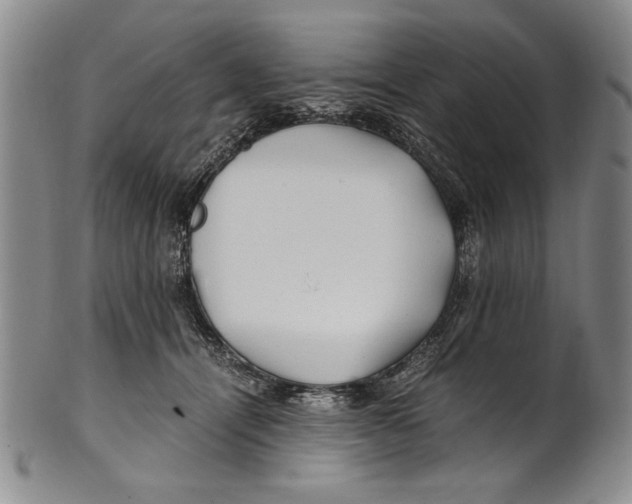 X0000100760464200807171346