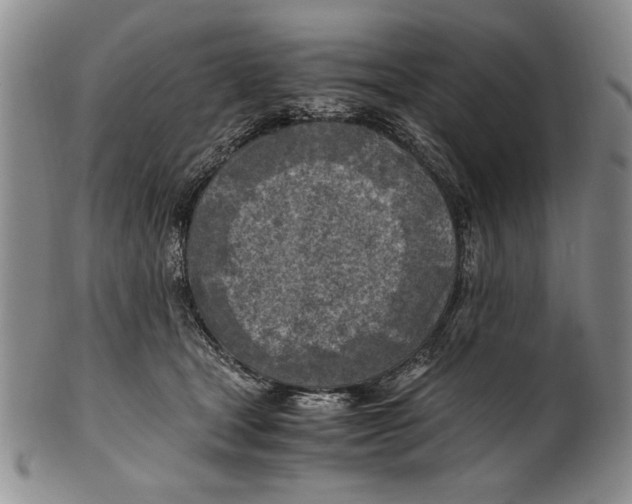 X0000100760465200807171346