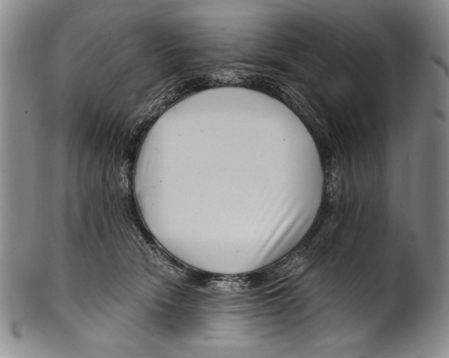 X0000100760466200807171346