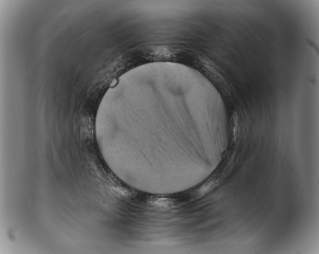 X0000100760467200807171346