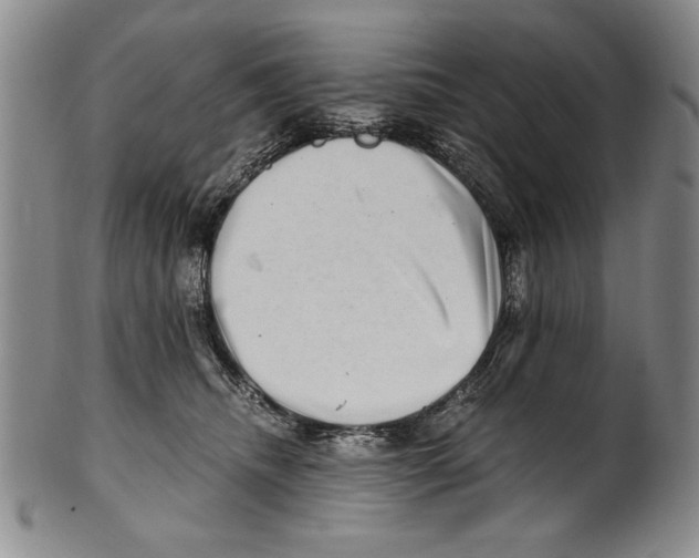 X0000100760468200807171346