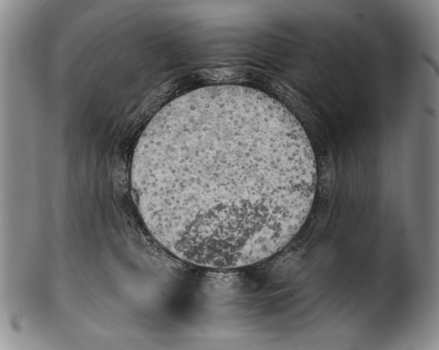 X0000100760469200807171346
