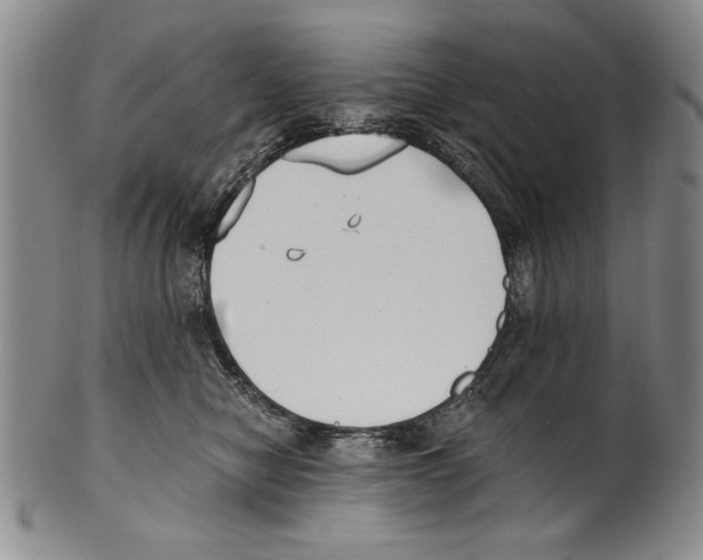 X0000100760470200807171346