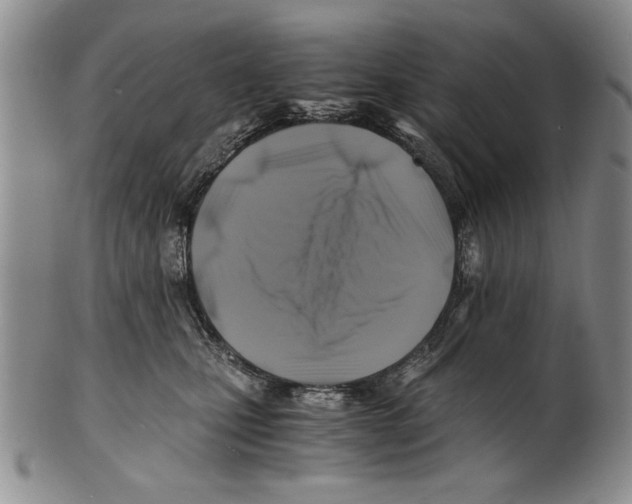 X0000100760471200807171346