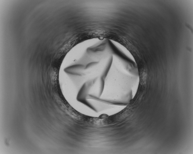 X0000100760472200807171346
