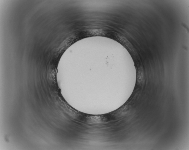 X0000100760473200807171346