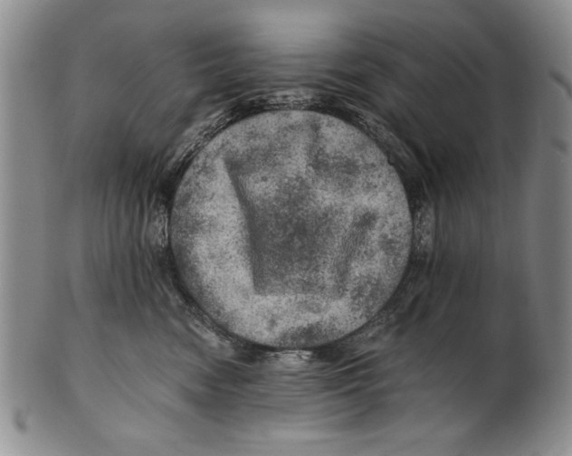 X0000100760474200807171346