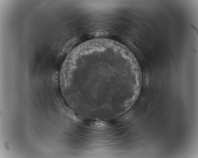 X0000100760475200807171346
