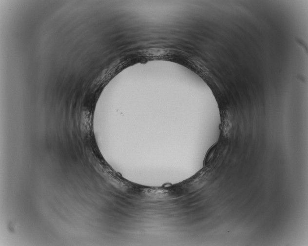 X0000100760476200807171346