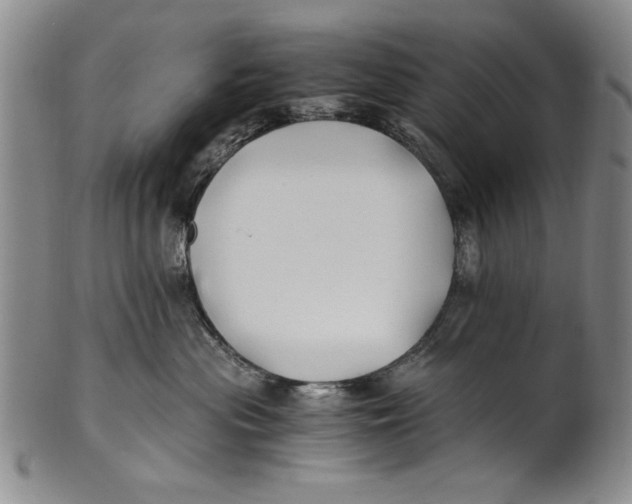 X0000100760477200807171346