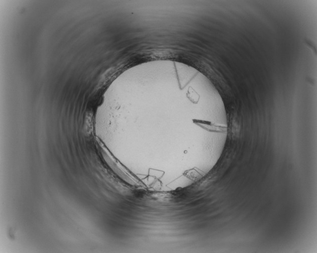 X0000100760478200807171346