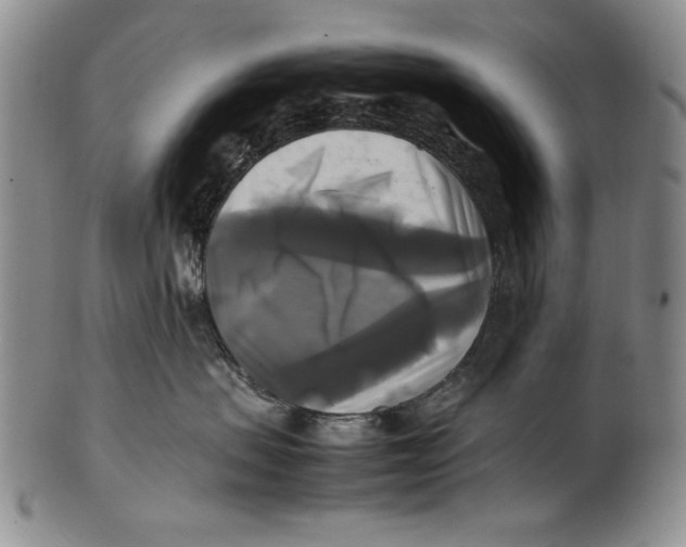 X0000100760479200807171346