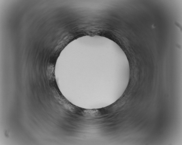 X0000100760480200807171346