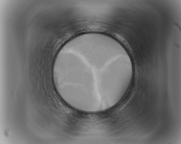 X0000100760481200807171345