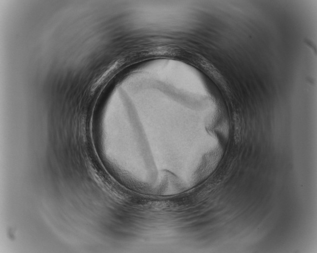 X0000100760482200807171345