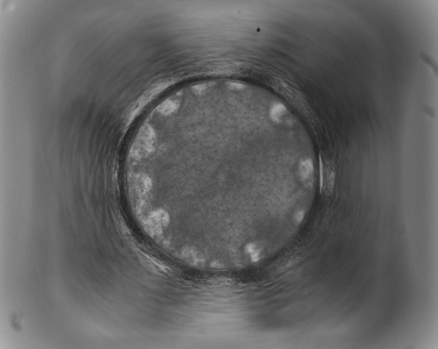 X0000100760483200807171345