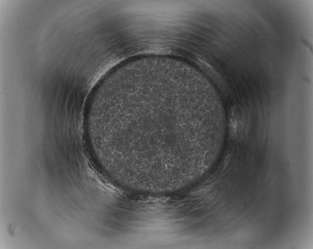 X0000100760484200807171345
