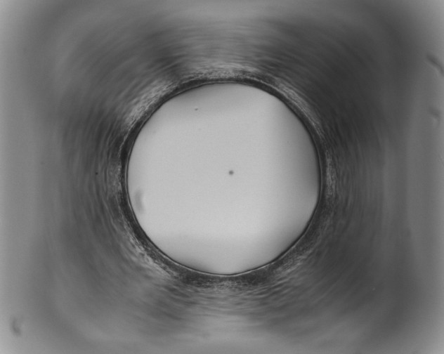 X0000100760485200807171345
