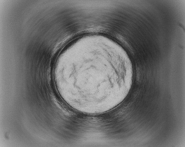 X0000100760486200807171345
