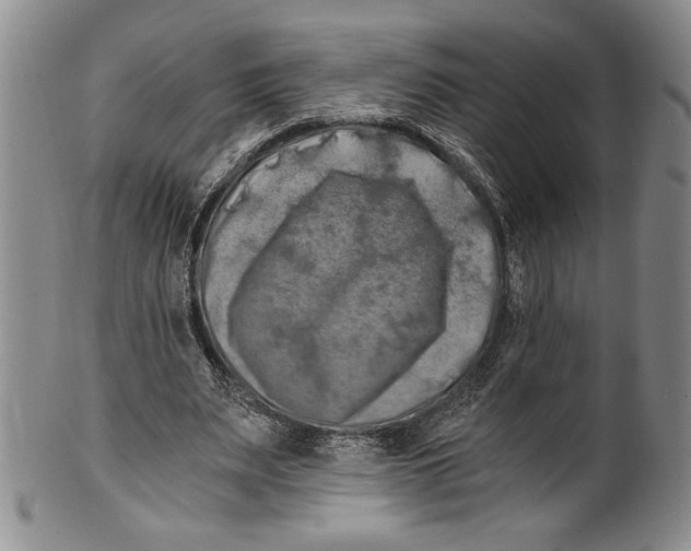X0000100760487200807171345