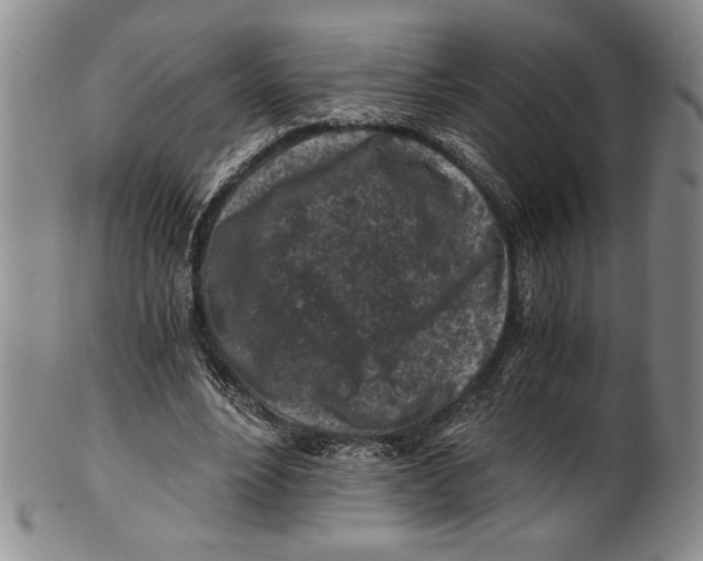 X0000100760488200807171345