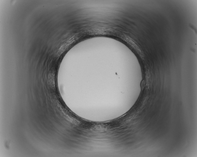X0000100760489200807171345