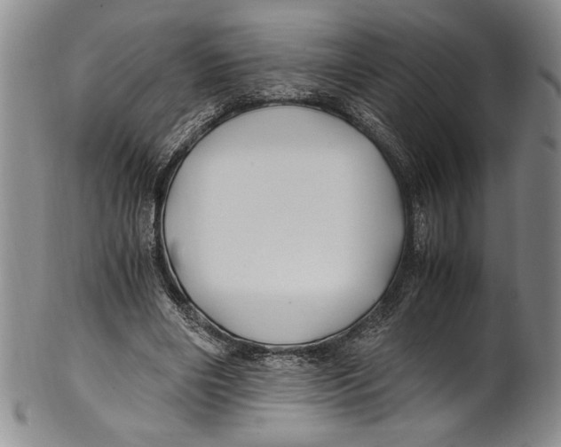 X0000100760490200807171345