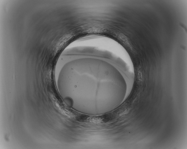 X0000100760491200807171345