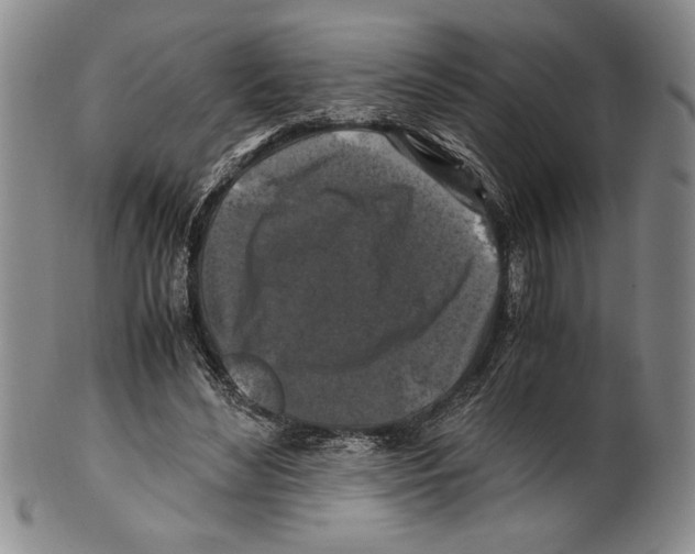 X0000100760492200807171345