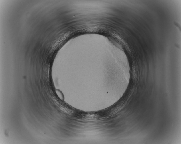 X0000100760493200807171345